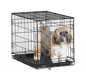 1. MidWest iCrate Folding Dog Crate (Single Door)