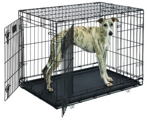 3. MidWest Life Stages Folding Dog Crate
