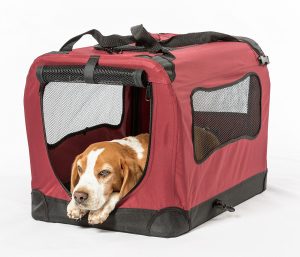 8. 2PET Foldable Dog Crate