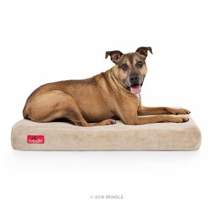 9. Brindle 4 inch solid memory foam orthopedic dog bed