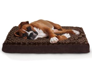 2. Furhaven Deluxe Orthopedic Mattress Pet Dog