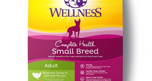 3. Wellness Complete Health Dry Small Breed Dog Food