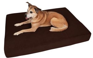 5. Big Baker Orthopedic Dog Bed