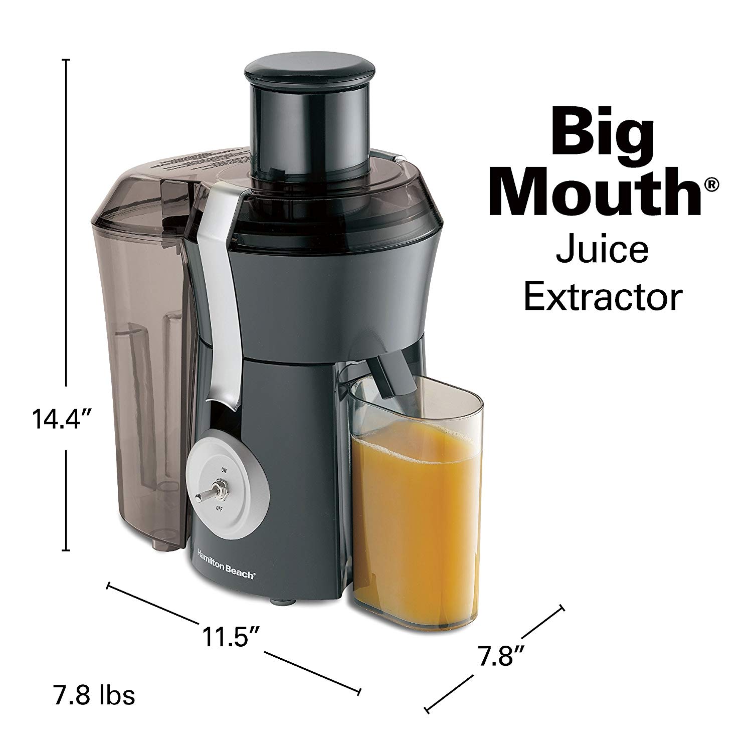 Hamilton Beach Masticating Juicer