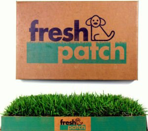 Fresh Patch Disposable Dog Potty