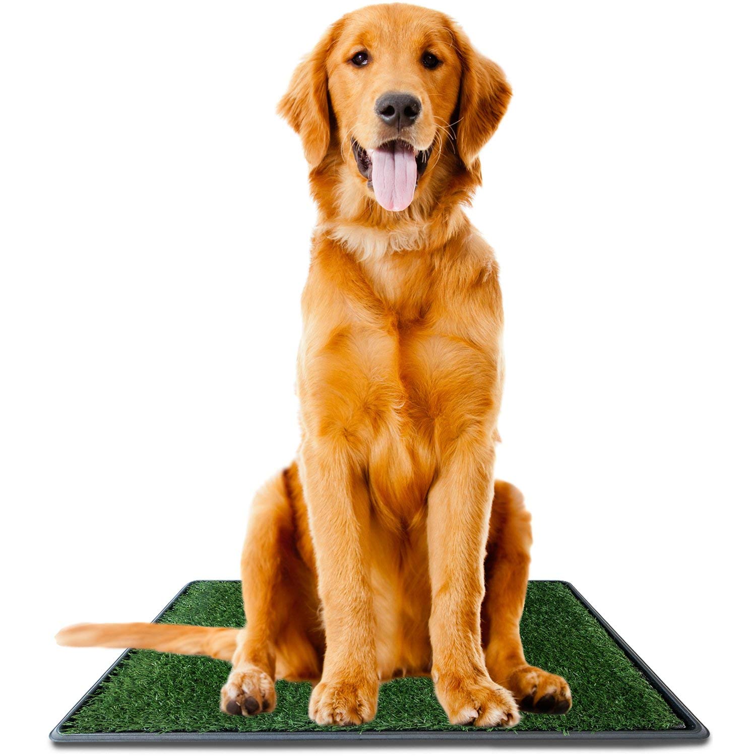 Ideas In Life Dog Potty Grass Pad