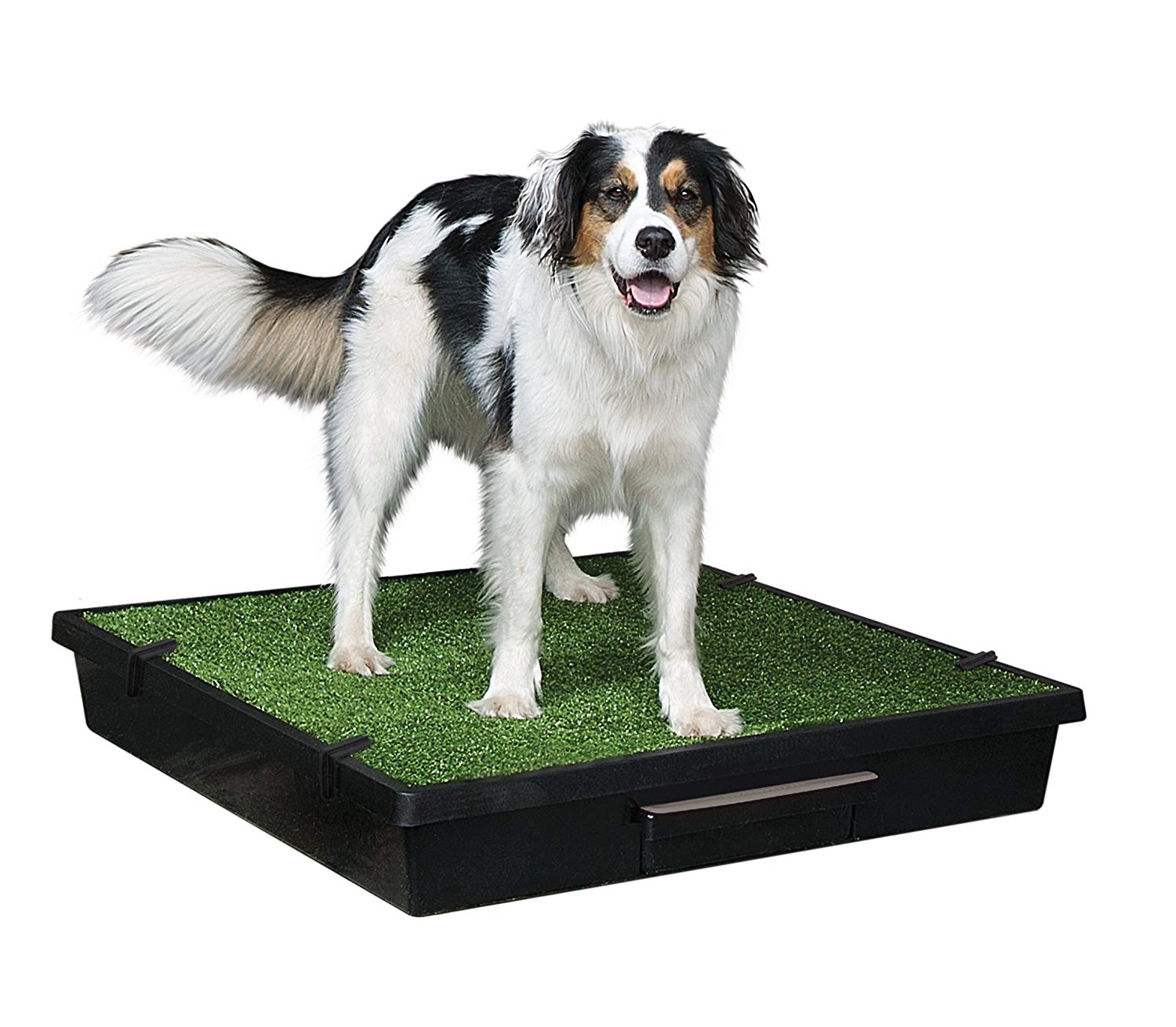 PetSafe Pet Loo Portable Dog Potty