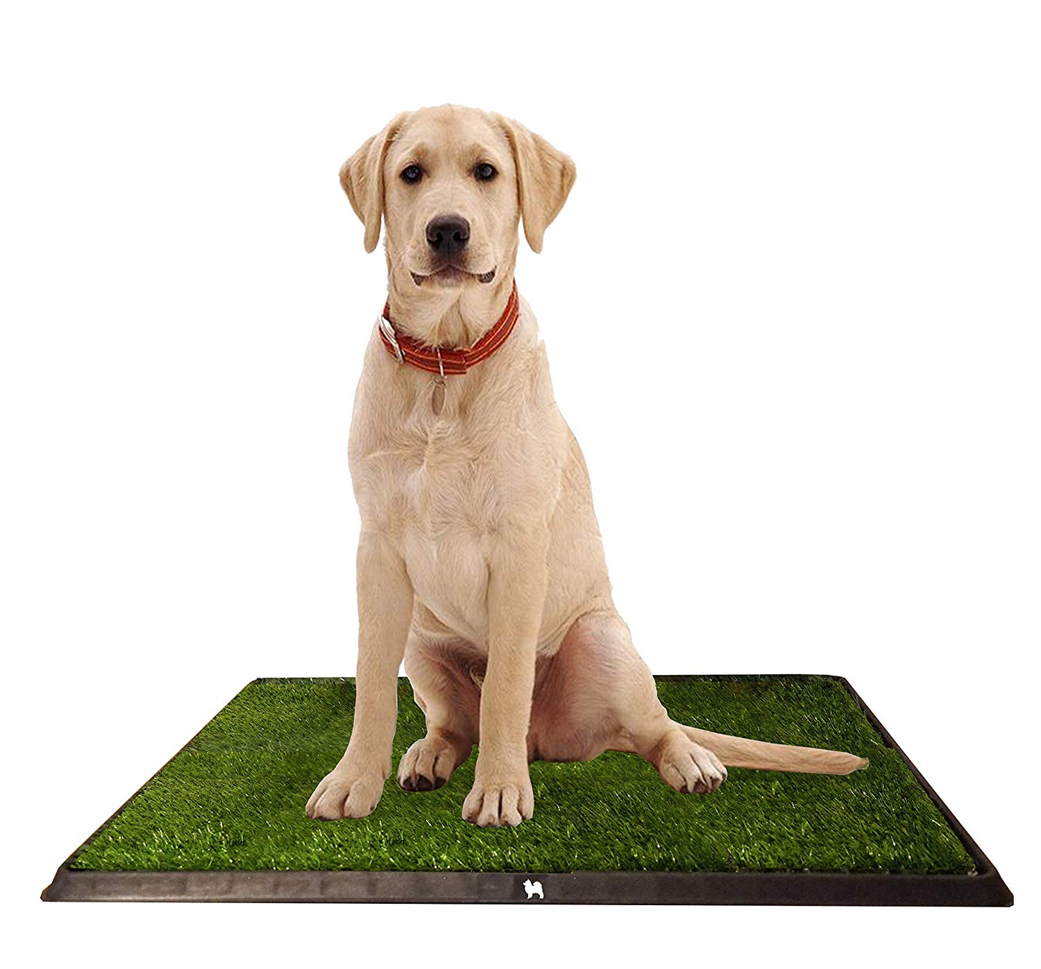 PuppyPro Potty Grass Toiler Trainer Tray