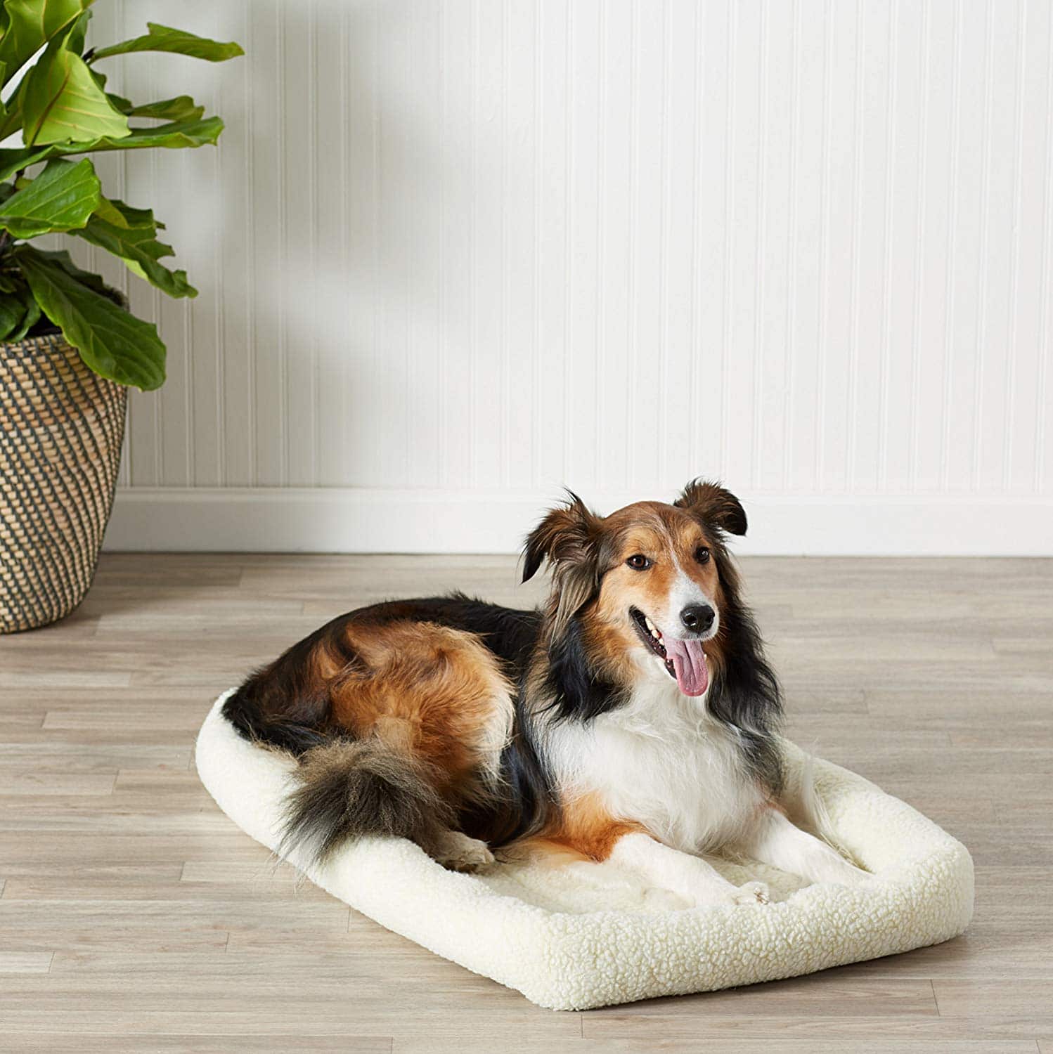 AmazonBasics Padded Pet Bolster Bed