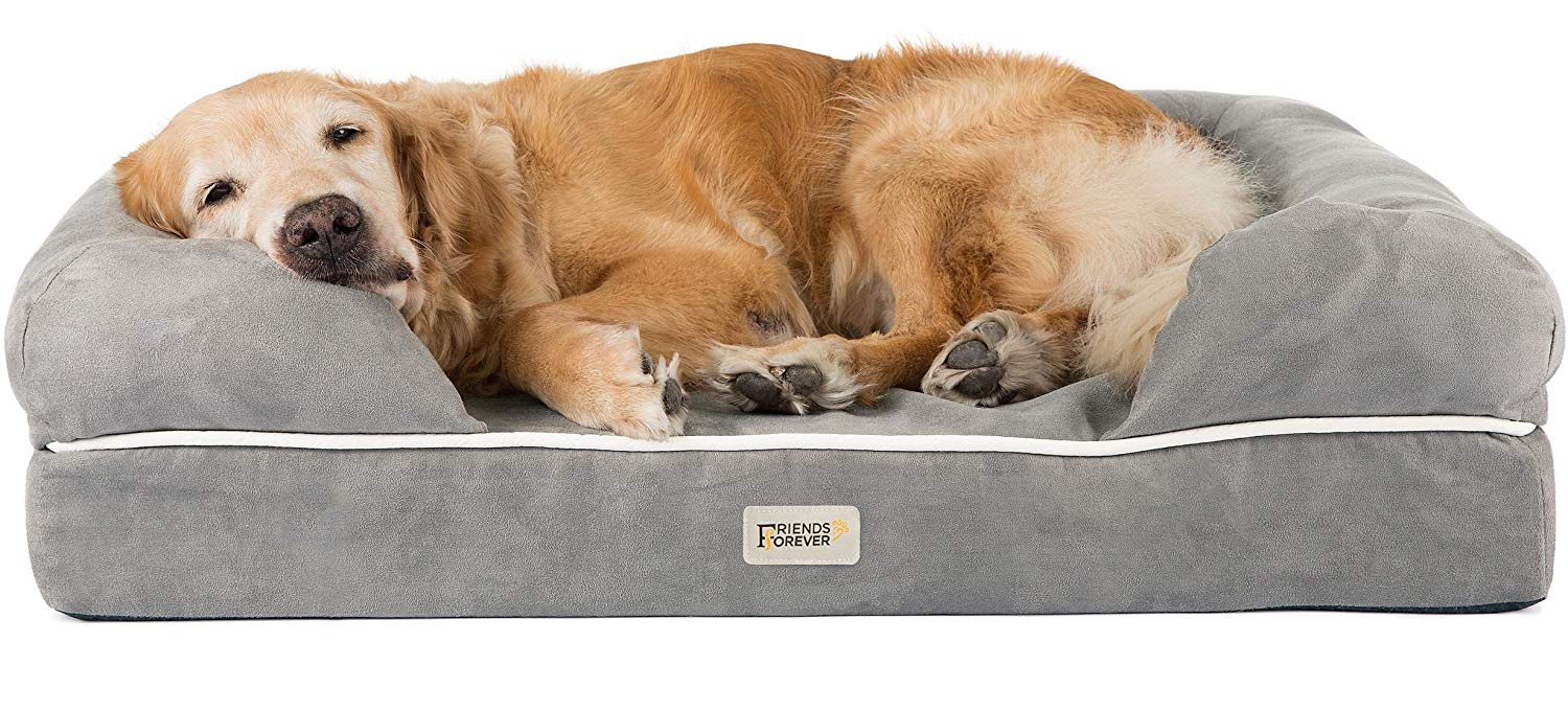  Friends Forever Orthopedic Dog Bed