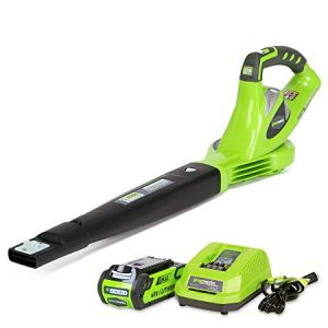 Greenworks 40V Cordless Echo Leaf Blower