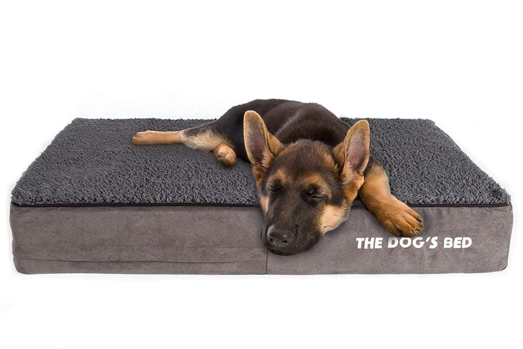 The Dog’s Bed