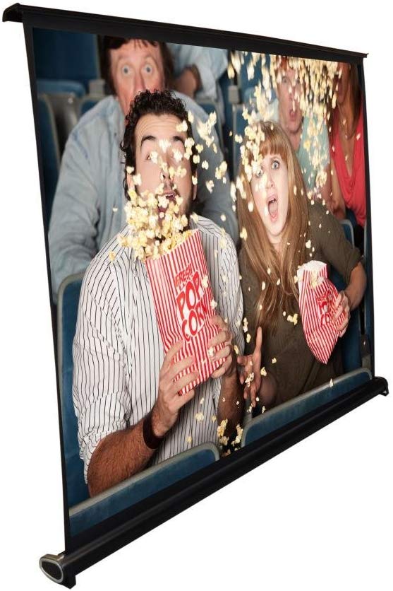 Portable Projector Screen