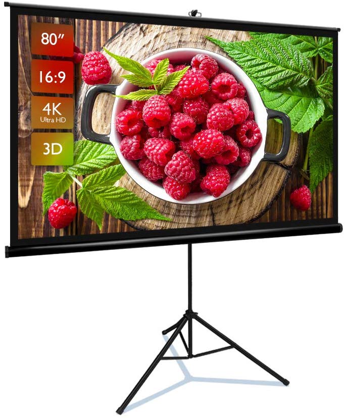 Projector Screen with Stand