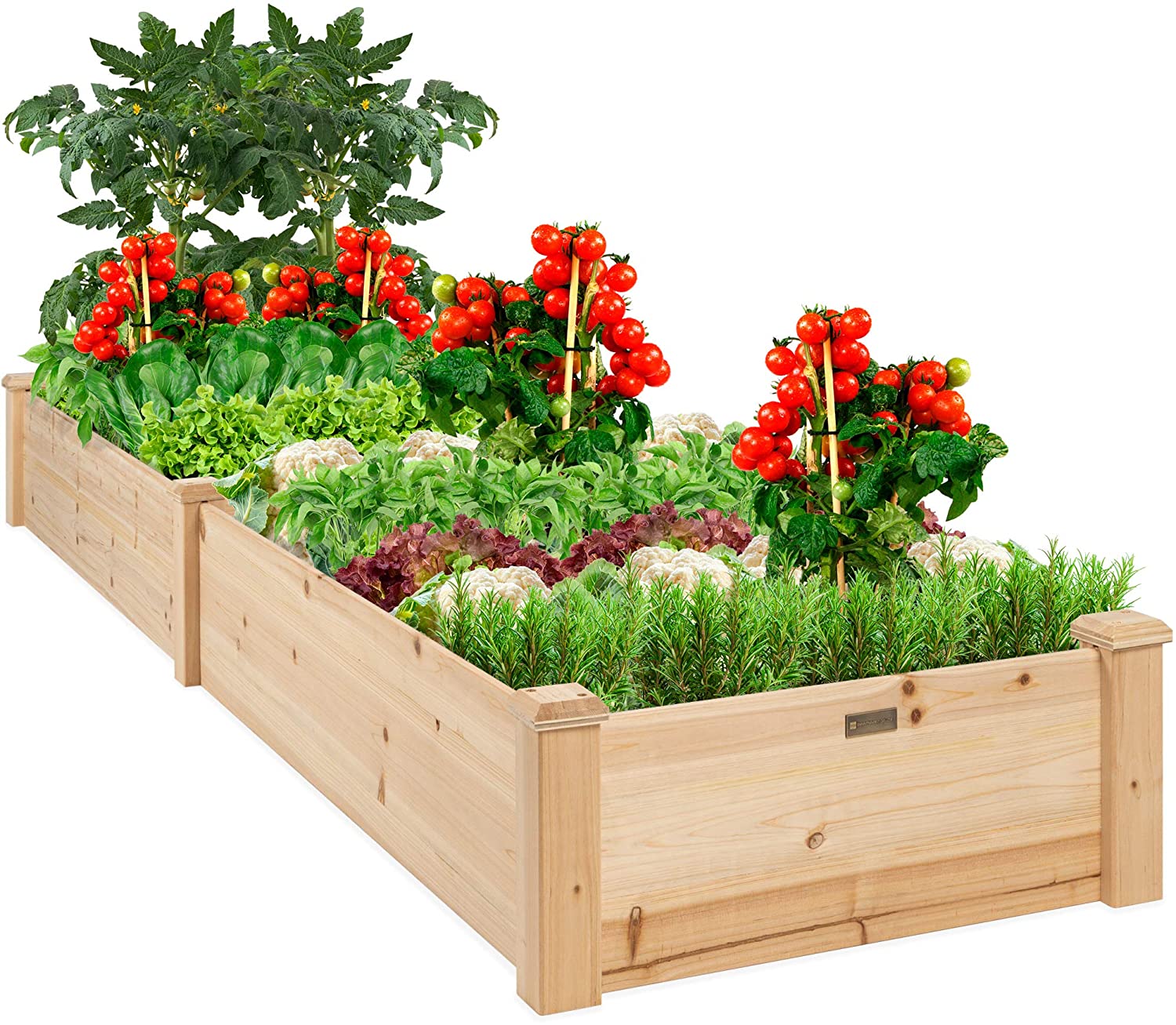 Best Choice Products 8x2ft OutdoorWooden Raised Garden Bed