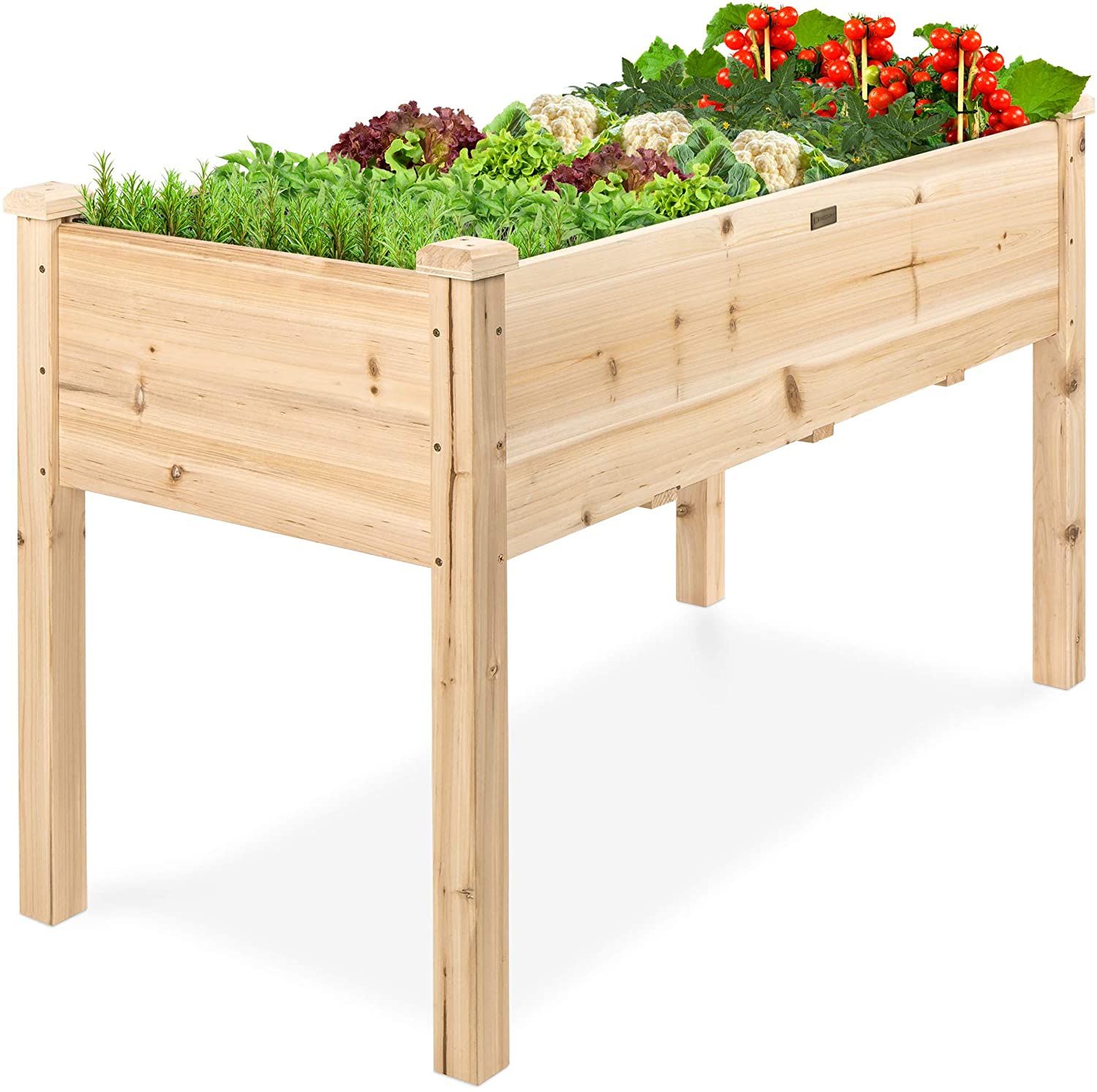 Best Choice Products Raised Garden Bed 48x24x30in