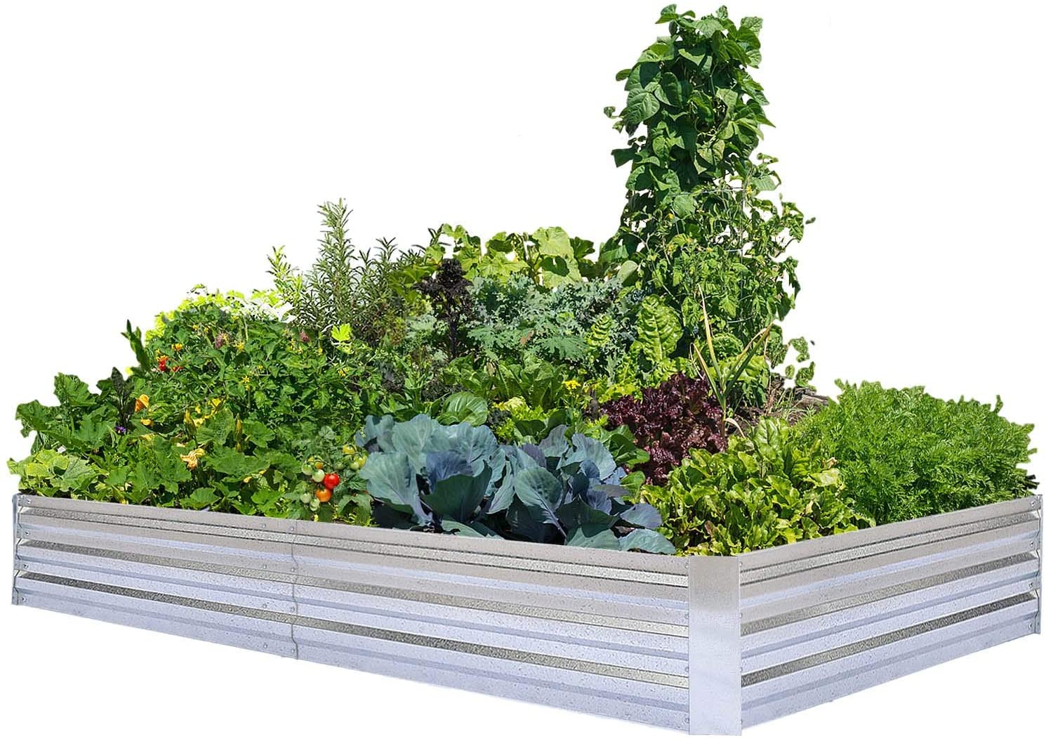 Galvanized Raised Garden Beds