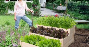 Top 10 Best Raised Bed Gardens in 2022 Reviews