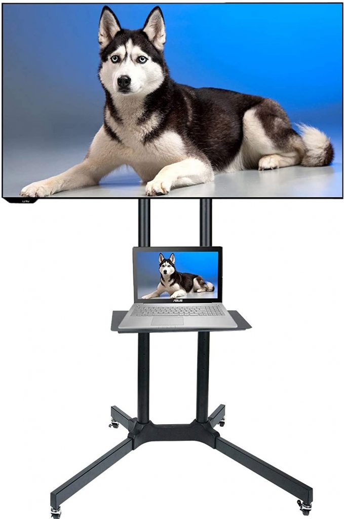 Husky Mount Mobile TV Stand