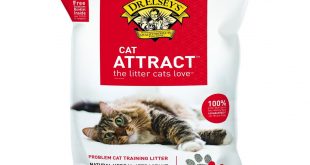 2. Dr. Elsey's Cat Attract Litter