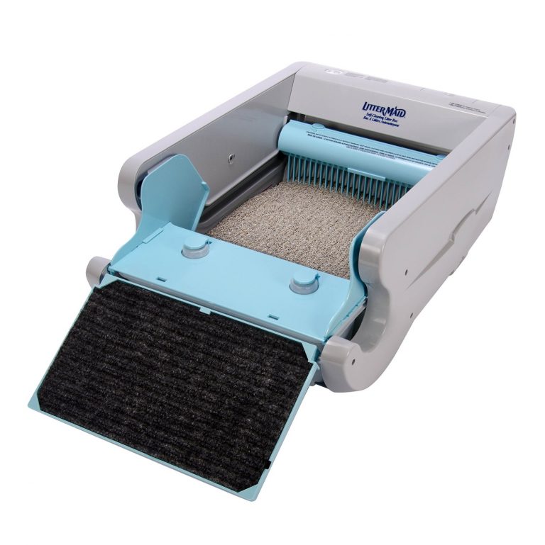 Top 10 Best Automatic Litter Boxes in 2022 Reviews