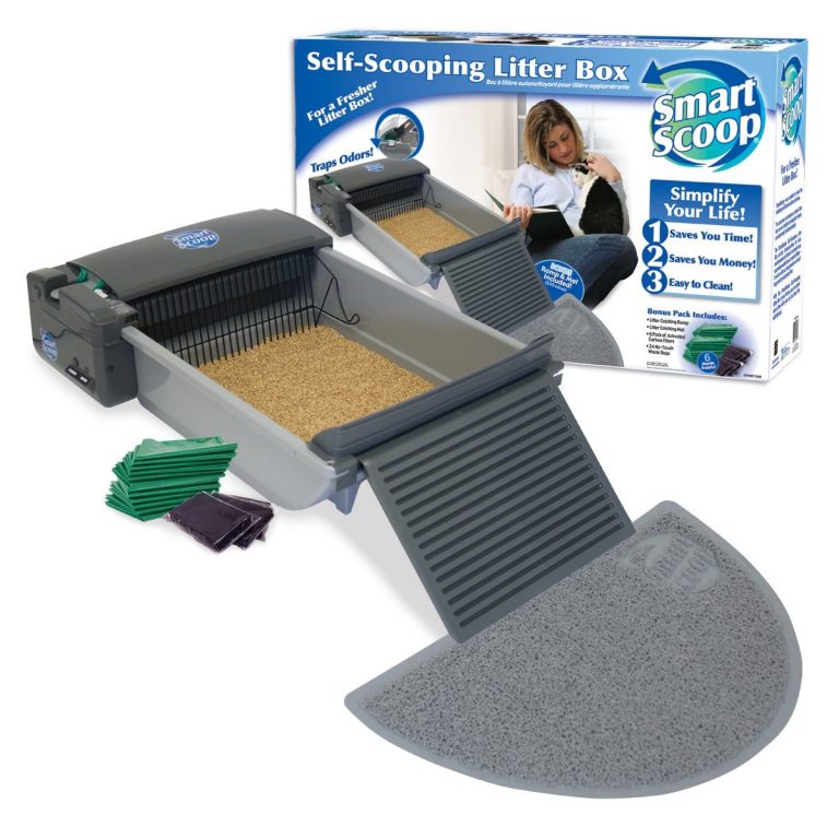 Top 10 Best Automatic Litter Boxes in 2022 Reviews