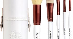 8. Pro Makeup Brush Set