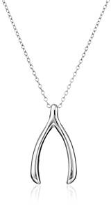 9. Sterling Silver Wishbone Pendant Necklace