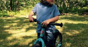 Schwinn 12-Inch Balance Bike