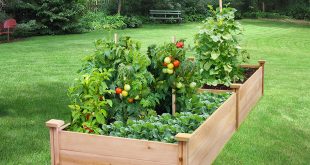 Greenes Fence Best Value Cedar Raised Garden Bed Planter-Garden planer