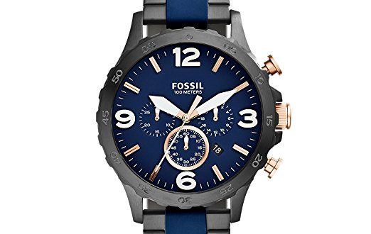 smart watch fossils