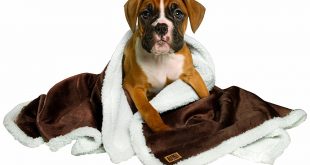 Animal Planet Sherpa Pet Blanket