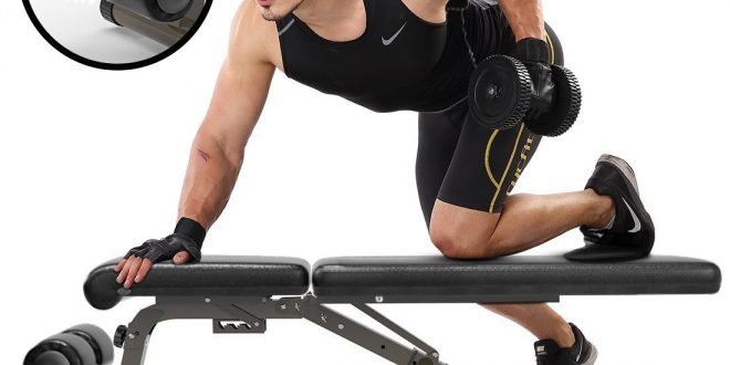 Top 10 Best Adjustable Weight Benchs In 2020 Top Best Pro Review