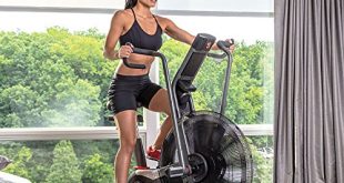 Schwinn Airdyne AD Pro