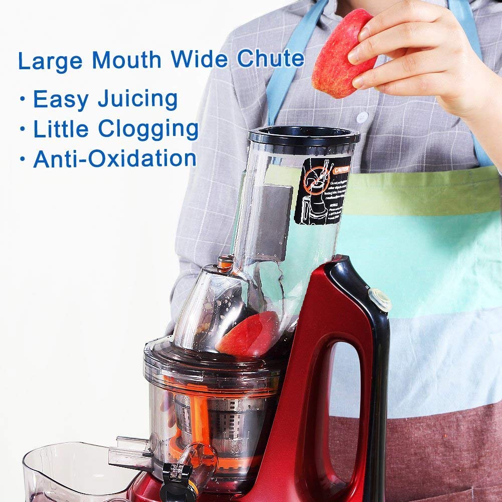 Top 10 Best Masticating Juicers in 2021 Reviews Top Best Pro Review