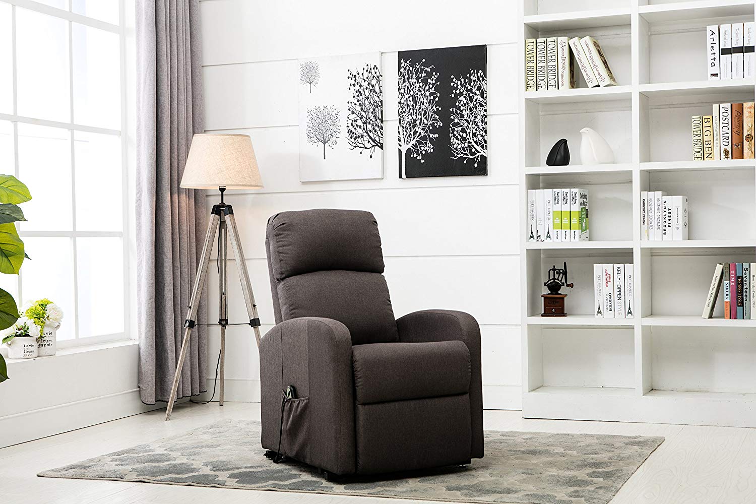 Divano Roma Furniture - Classic Plush Power Lift Recliner Living Room Chair (Dark Grey)