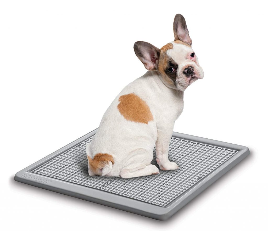 Top 10 Best Porch Potty Reviews Top Best Pro Review