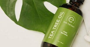 Top 10 Best Tea Tree Oils in 2022 Reviews