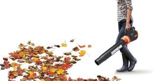 Worx Cordless Battery-Powered Leaf Blower