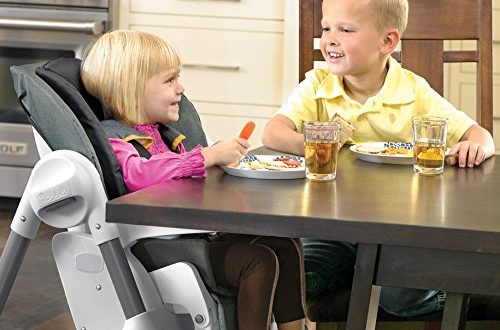 Top 10 Best Chicco High Chairs In 2020 Top Best Pro Review