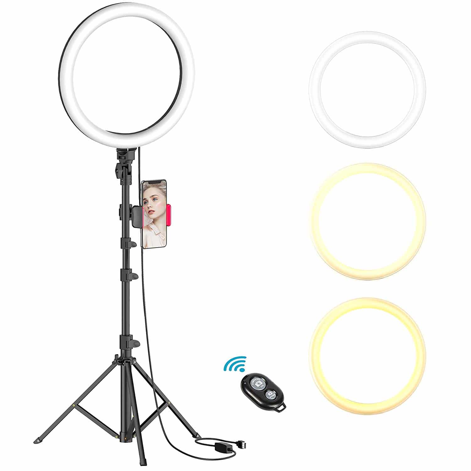 iMartine 10 LED Ring Light with Microphone,Tripod Stand and Phone Holder for Makeup Dimmable Desktop Selfie Light Ring for YouTube Video Recording,Live Streaming,TikTok,Photography