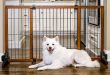 Carlson Freestanding Large Pet Gate