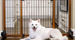 Carlson Freestanding Large Pet Gate